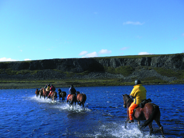 iceland horse river crossing